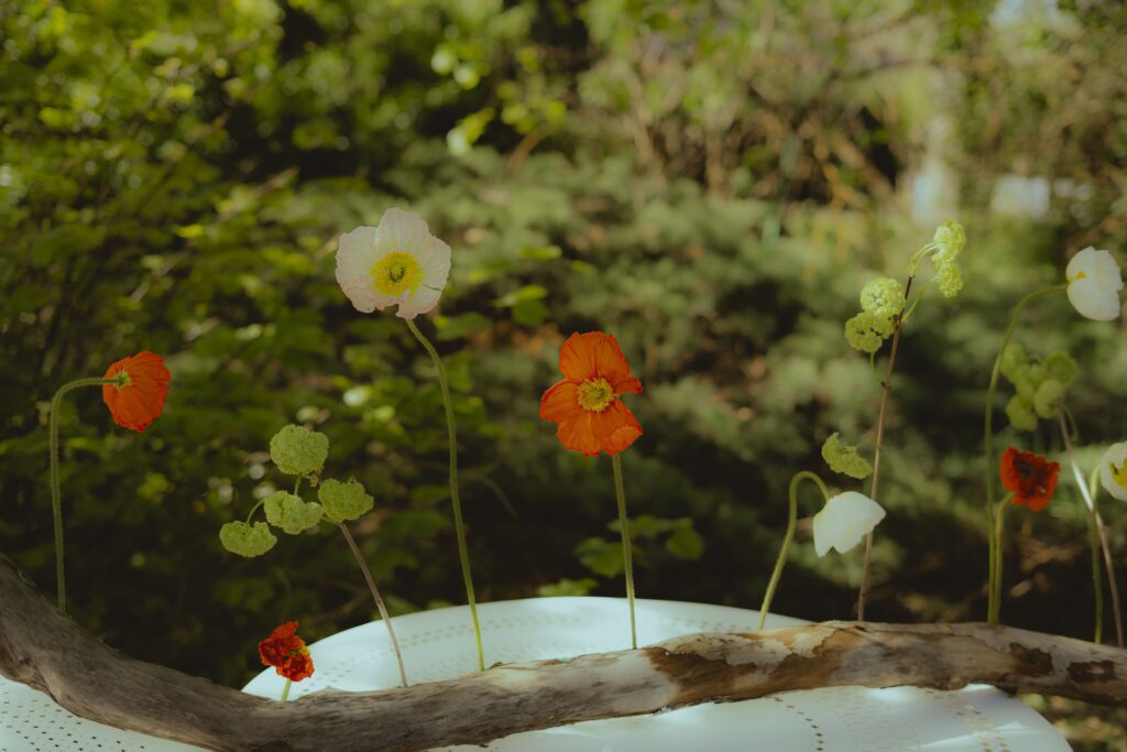 Idées pour les fleurs un mariage dans le Tarn